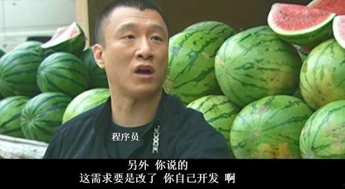 华强买瓜自己吃,诠释新时代农民新风采